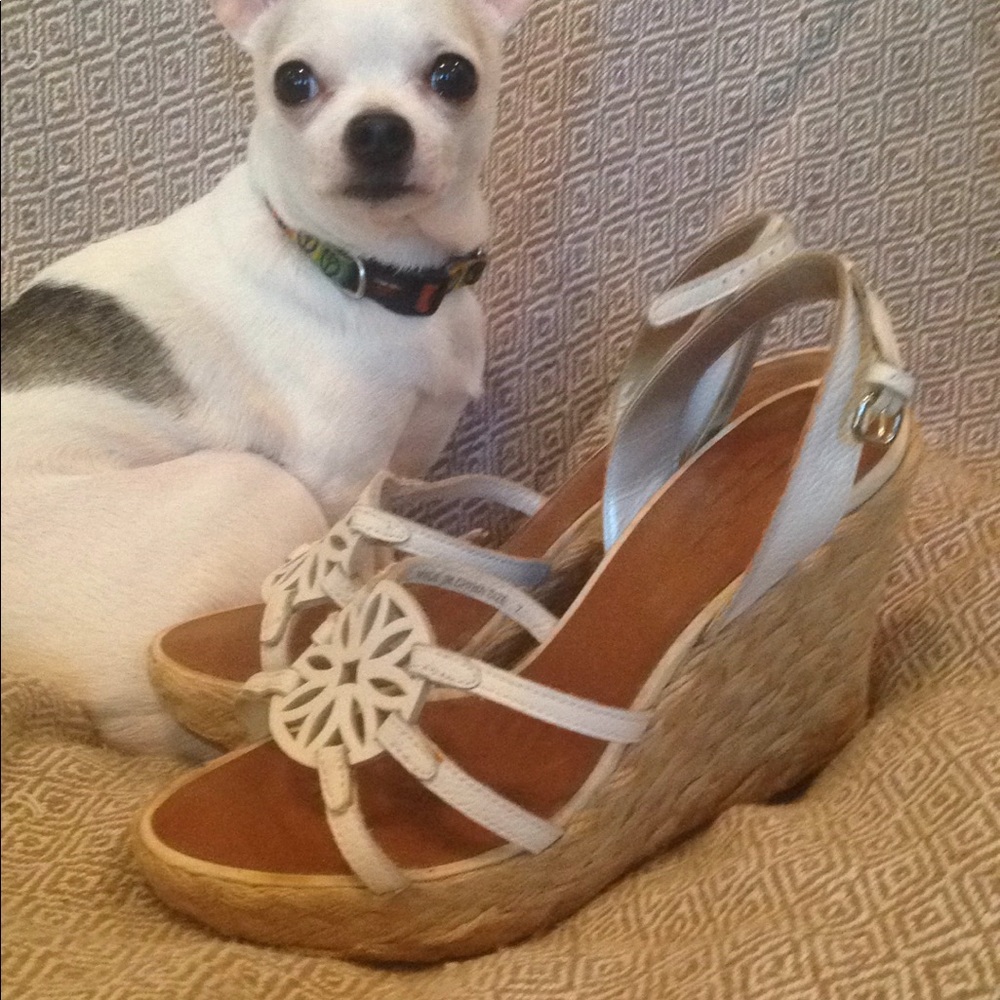 American eagle wedges